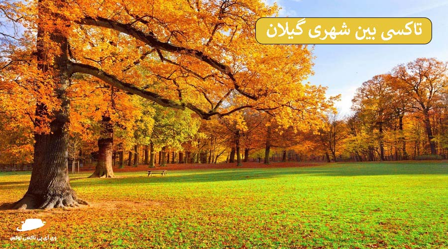 جنگل های گیلان | دربستی بین شهری گیلان