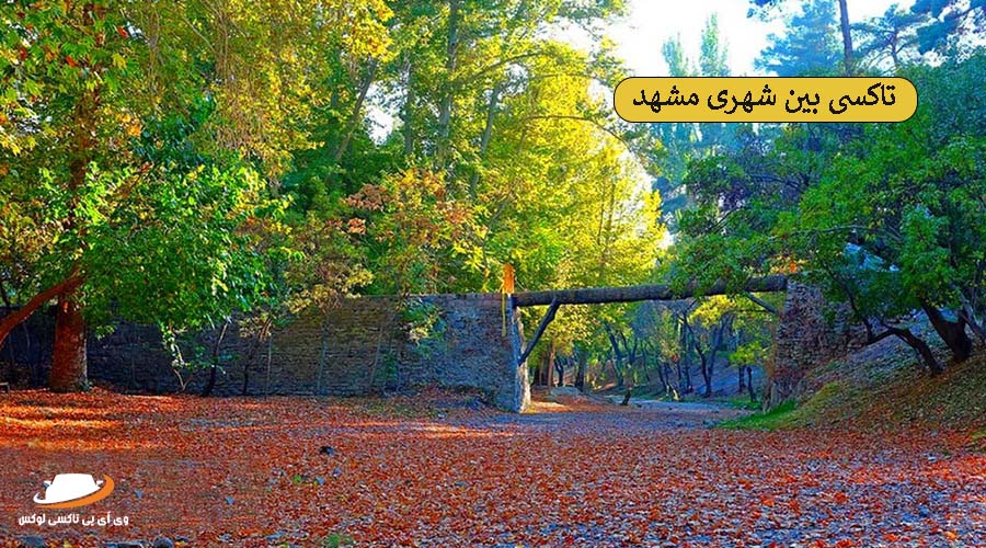 باغ وکیلآباد | سواری دربستی مشهد