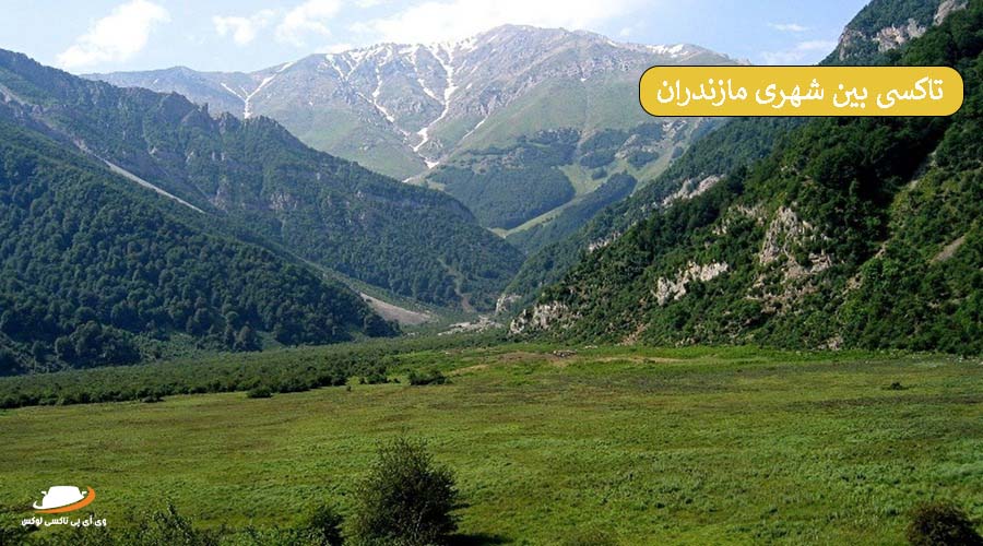 جنگل دوهزار | تاکسی بین شهری مازندران