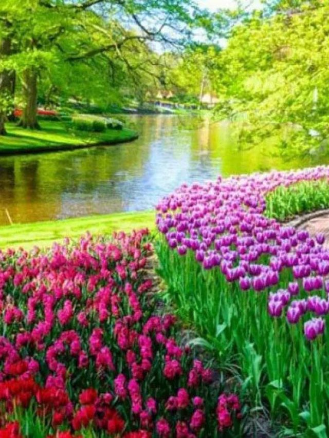 جاذبه های ناشناخته اصفهان